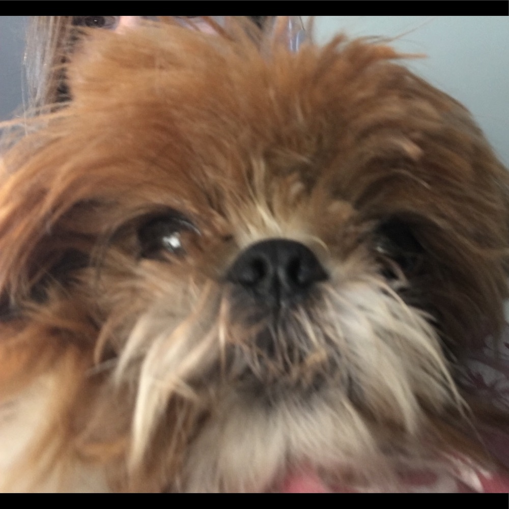 Meet your Posher, Alexandra